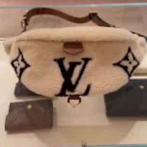 Louis Vuitton Monogram Teddy Bumbag - Picture 3 of 10